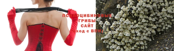 спиды Алапаевск