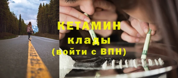 шишки Армянск