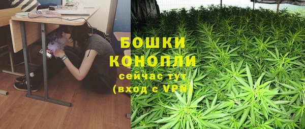 шишки Армянск
