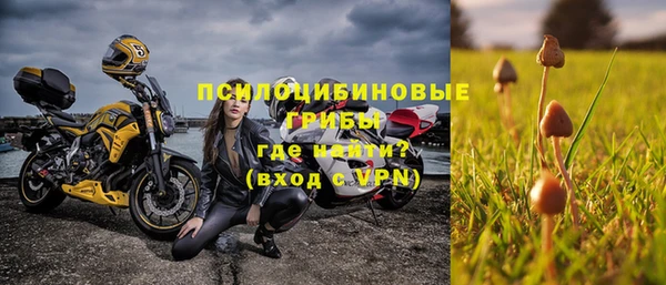 шишки Армянск