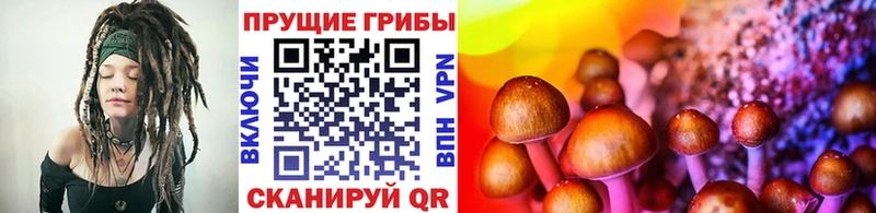 Псилоцибиновые грибы прущие грибы Мытищи
