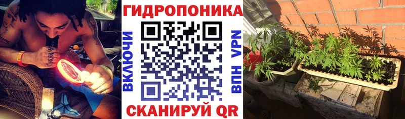 Бошки Шишки SATIVA & INDICA  мега ссылки  Мытищи 